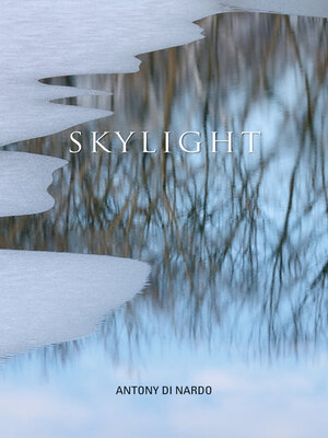 cover image of Skylight